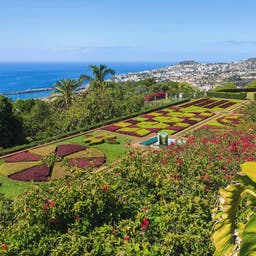 Hotel Funchal