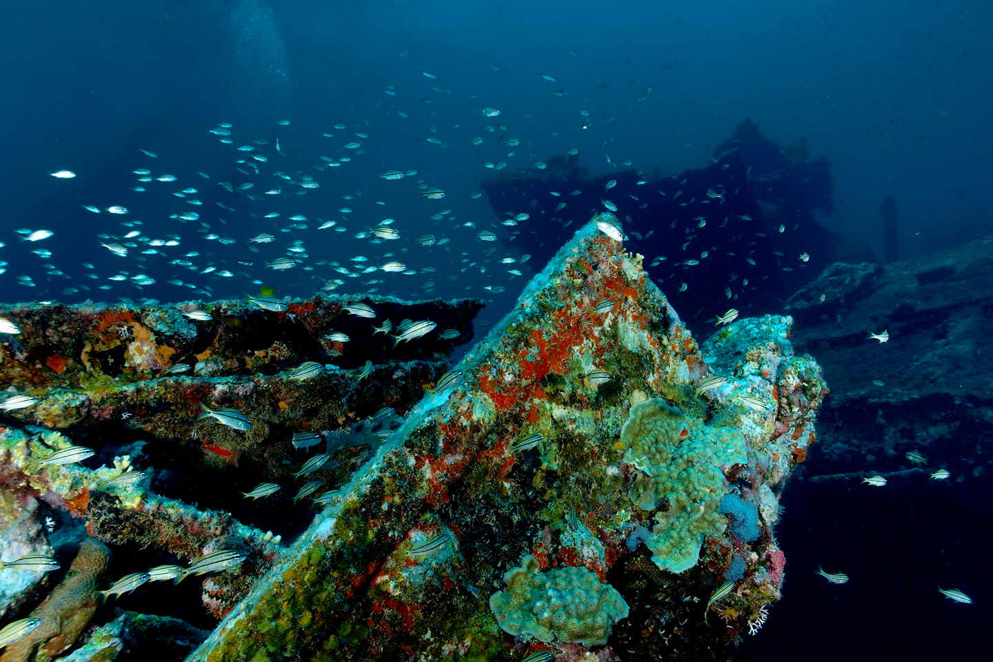 Schiffswrack Antilla auf der Karibikinsel Aruba