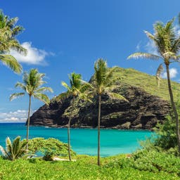Hotel Oahu