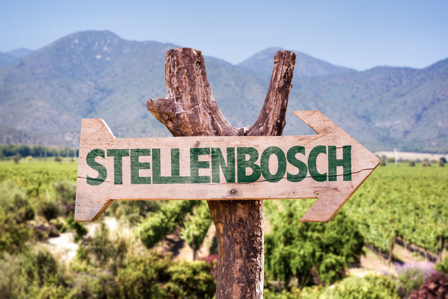 Wegweiser zu den Weingüter Stellenbosch