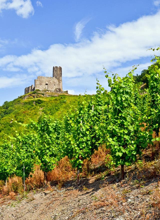 Hotel buchen Weinreise im Moseltal - Hotels
