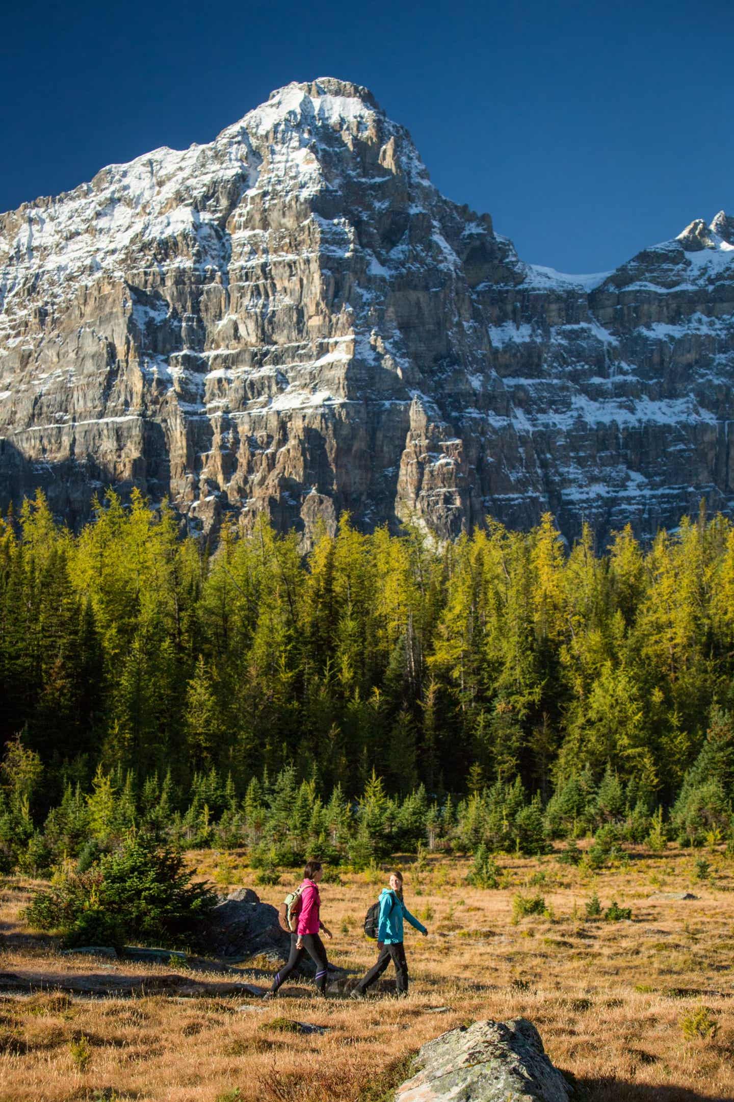 Zwei Wanderer im Banff Nationalpark in Alberta