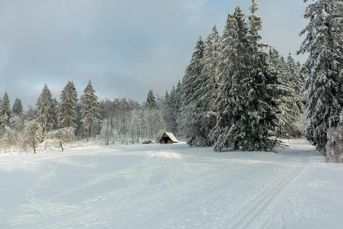 Thüringen Urlaub mit DERTOUR. Verschneite Landschaft in der Nähe von Oberhof in Thüringen