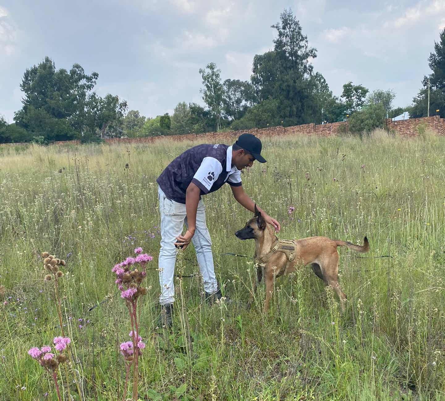 Ein Suchhund wird gegen Wilderei in Afrika ausgebildet