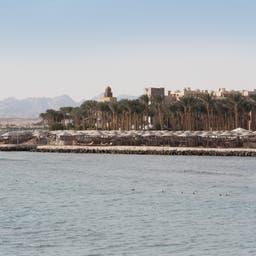 aegypten-makadi-bay-strand-palmen-g-810846880.jpg