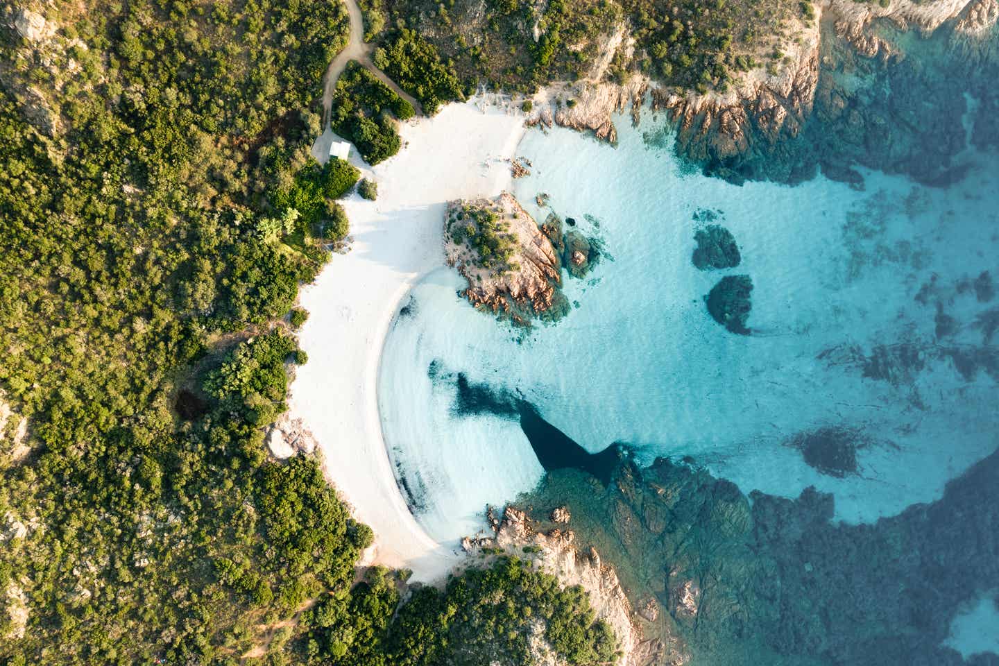 Sardinien Urlaub mit DERTOUR. Der Strand Spiaggia del Principe in einer Luftaufnahme mit weißem Sand und glasklarem Wasser eingerahmt von bewaldeten Felsen 