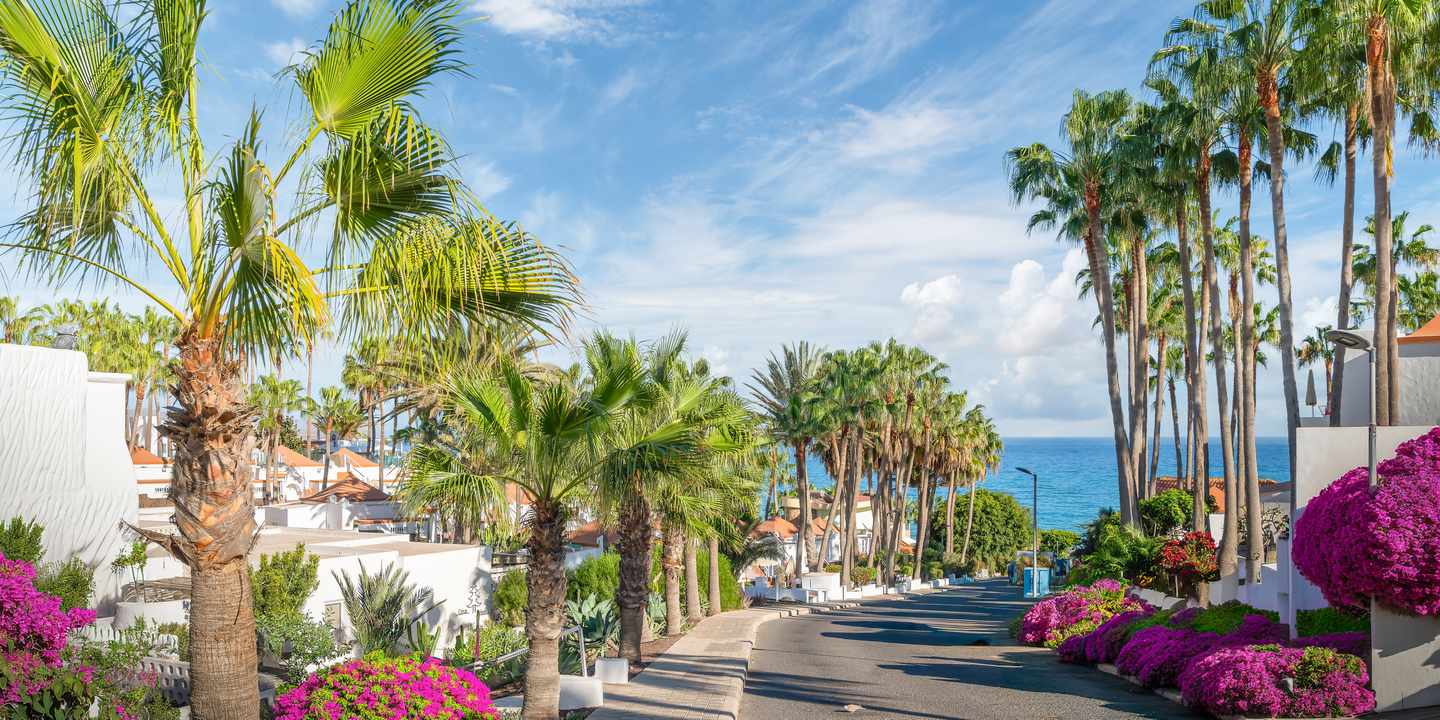Costa Calma auf Fuerteventura mit palmengesäumter Allee, blühenden Gärten und Blick auf den Atlantik