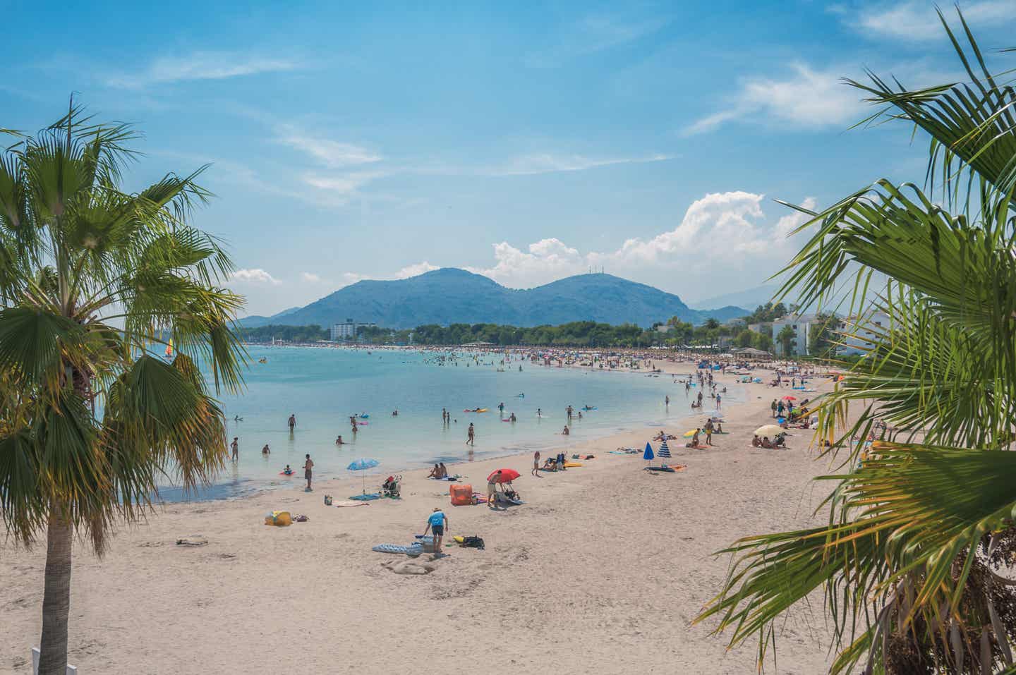 Der breite Sandstrand in der Bucht von Alcudia mit Bergen im Hintergrund