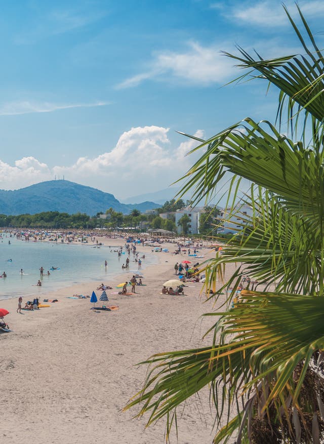 Alcudia Strand