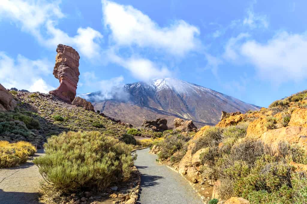 Faszinierend Gran Canaria Oder Teneriffa Ebenbild