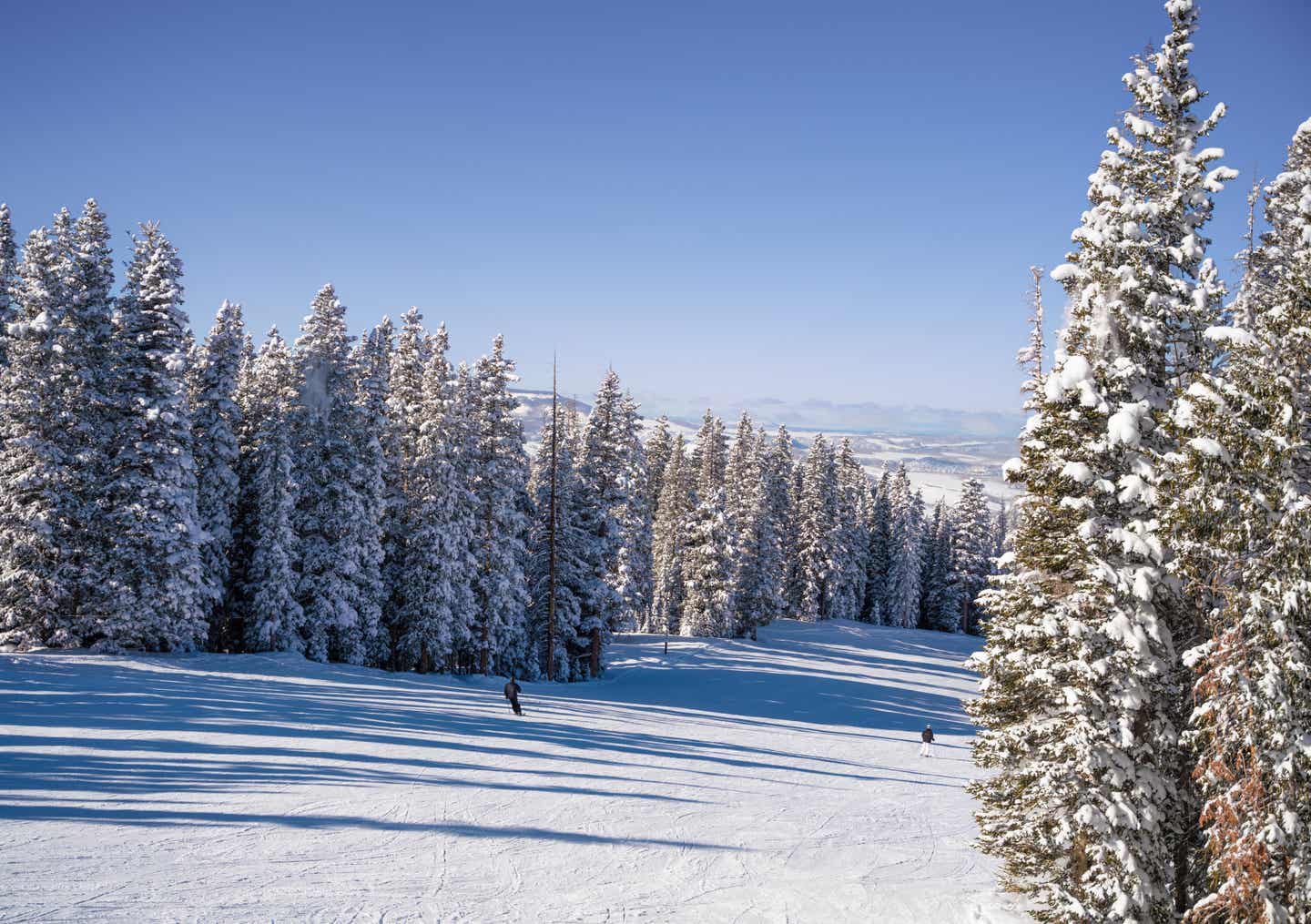 Weltberühmt ist das Skigebiet Aspen in den Rocky Mountains