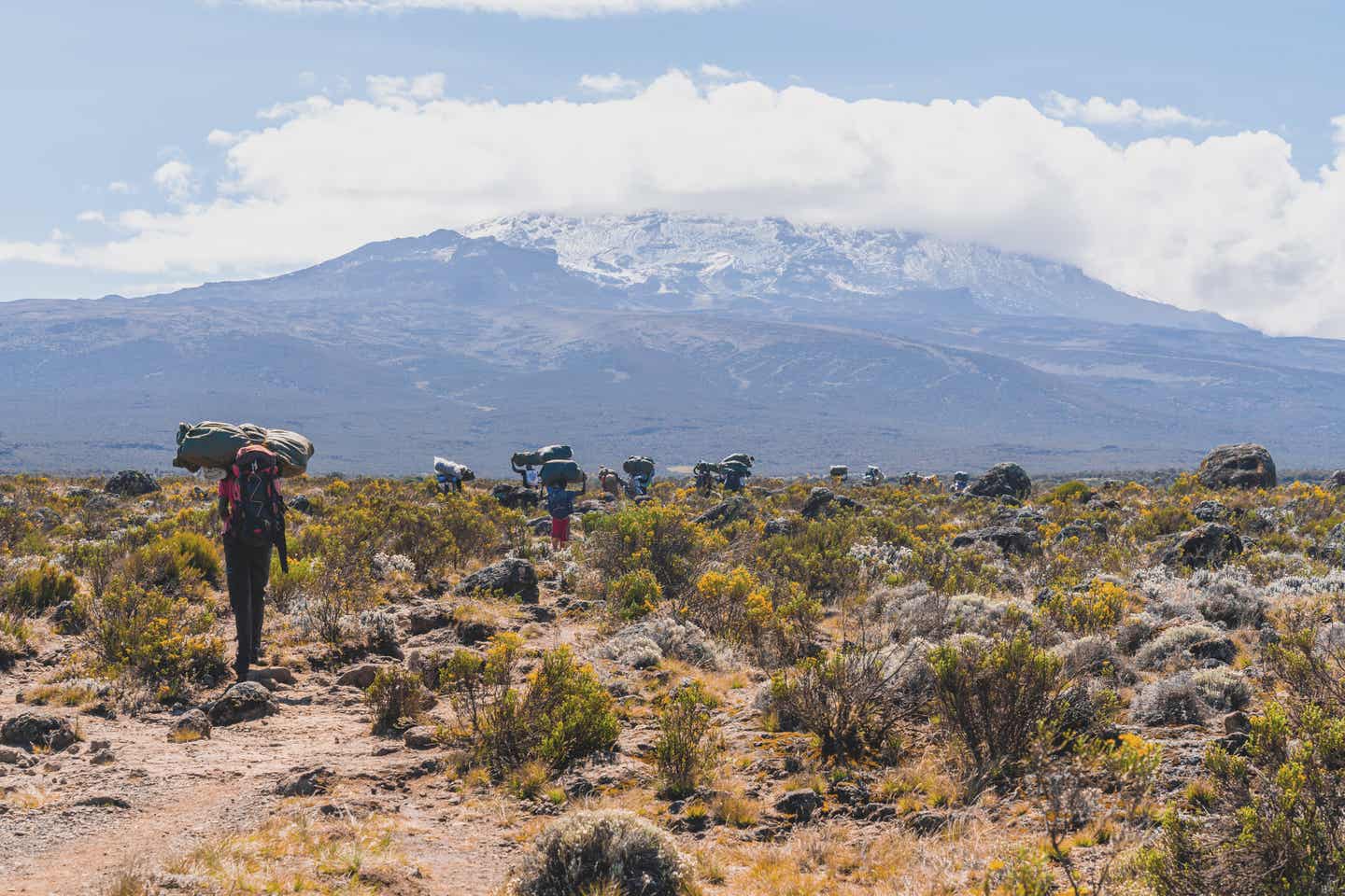 Wandern auf den Kilimandscharo