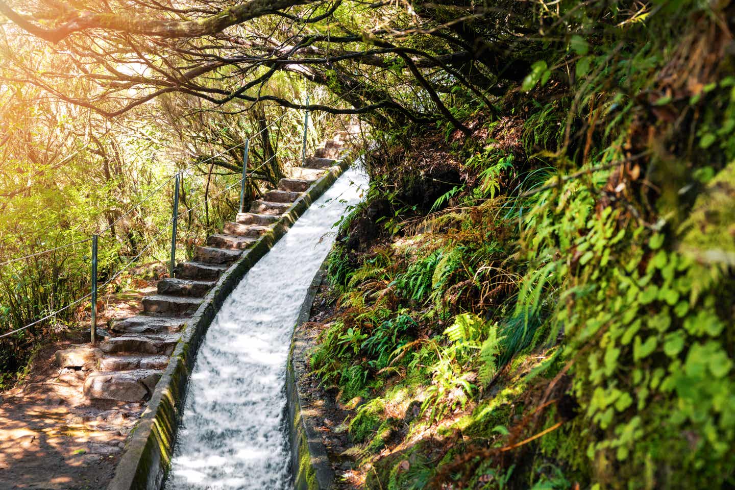 Madeira Sehenswürdigkeiten: Levada Wanderweg auf Madeira 