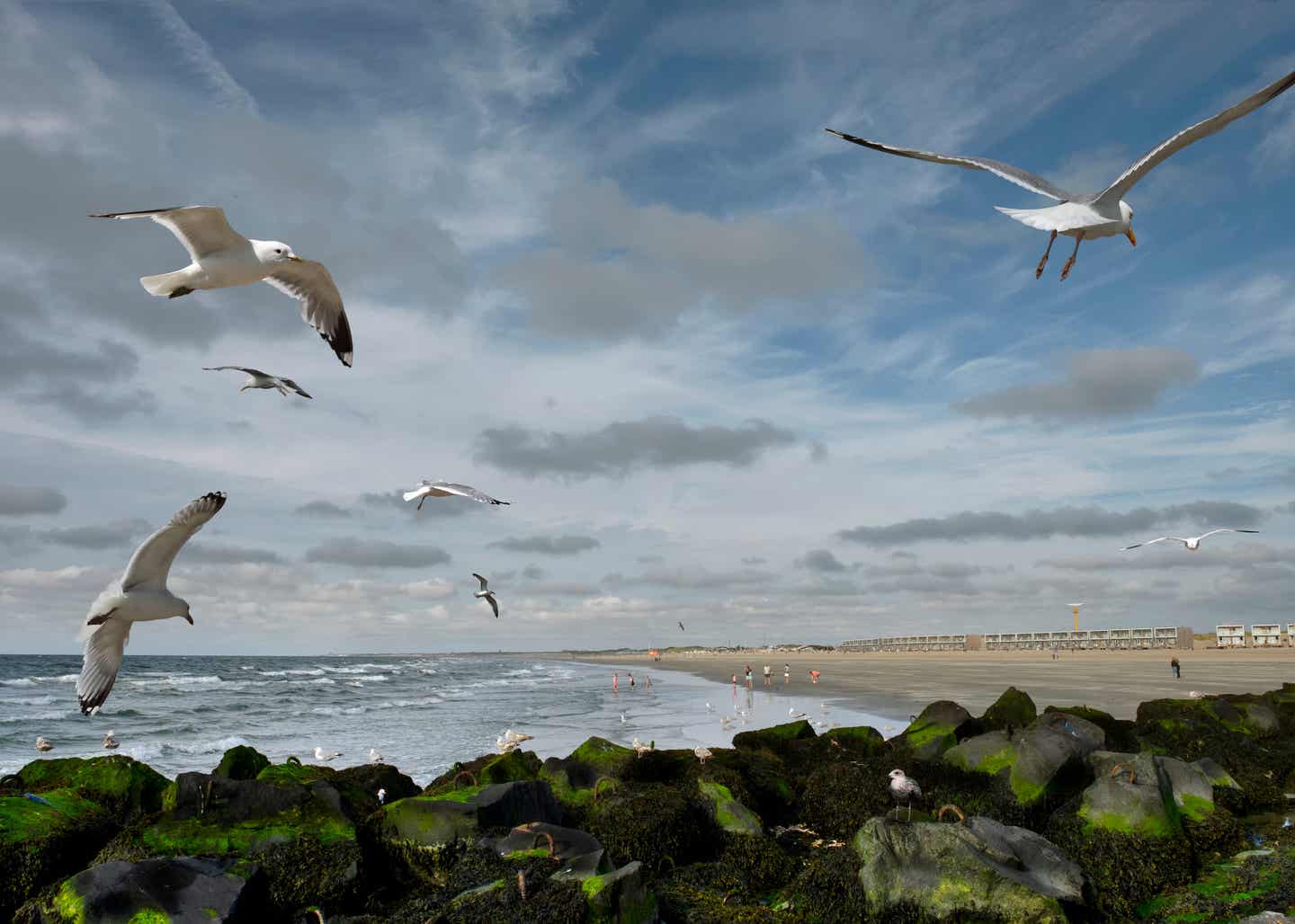 Urlaub in Rotterdam – Hoek van Holland