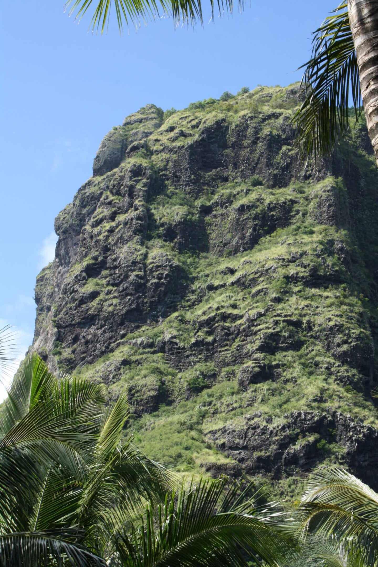 Begrünter Berg Piton de la Petite Rivière Noire