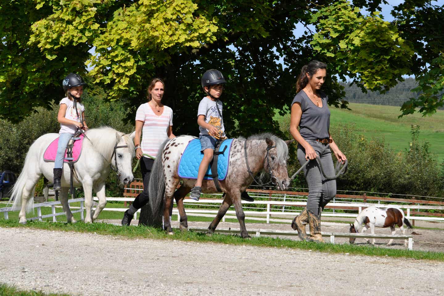 Reiten im Club Ampflwang