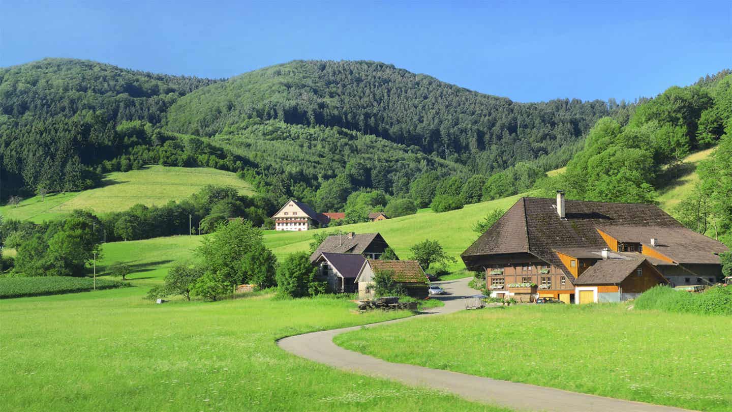 Der Schwarzwald und seine 44 Genießerpfade