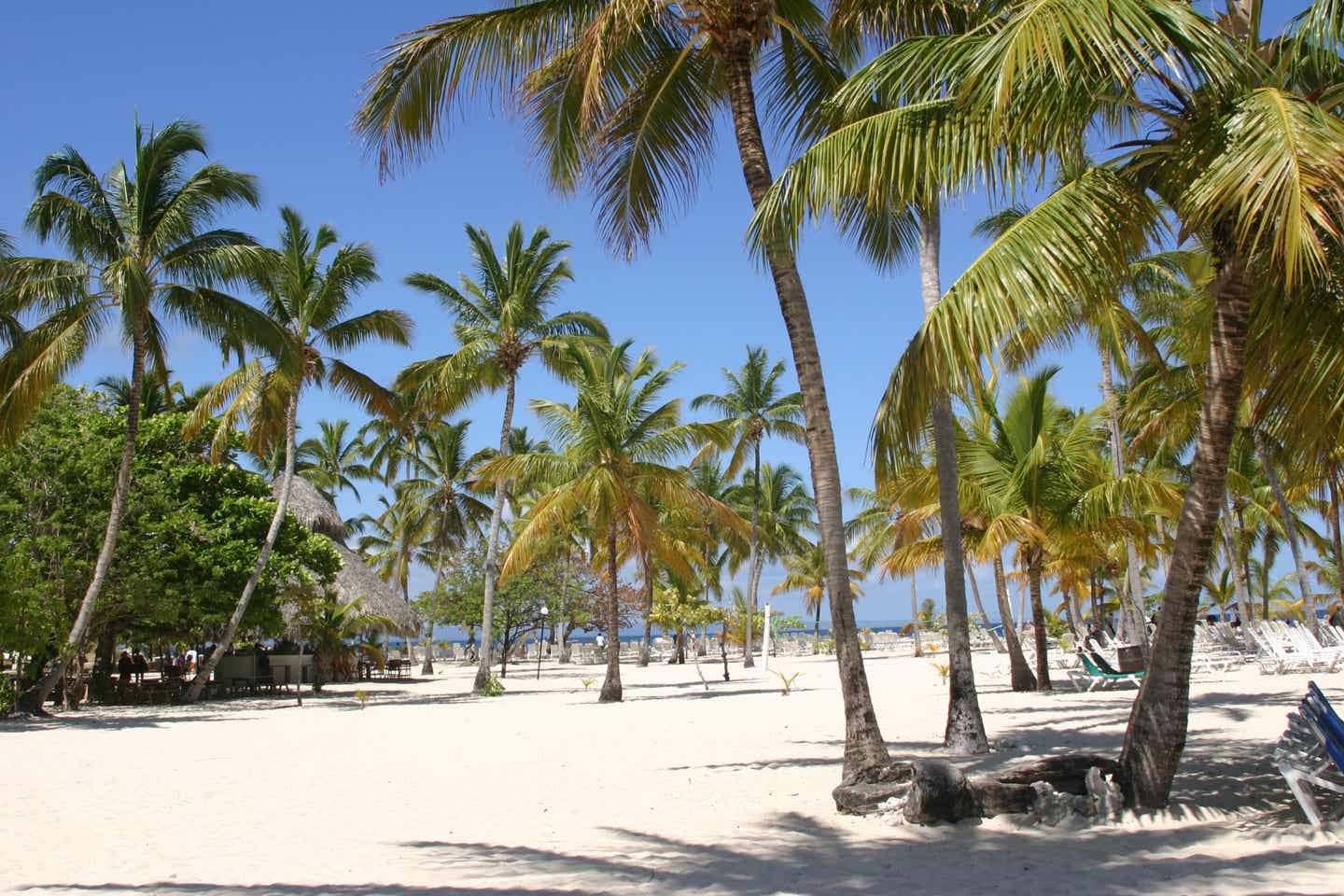 Samana Ausflüge: Palmen und Strand