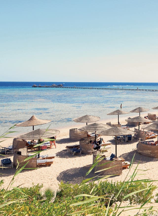 Langzeiturlaub Ägypten Langzeiturlaub Ägypten: Marsa Alam