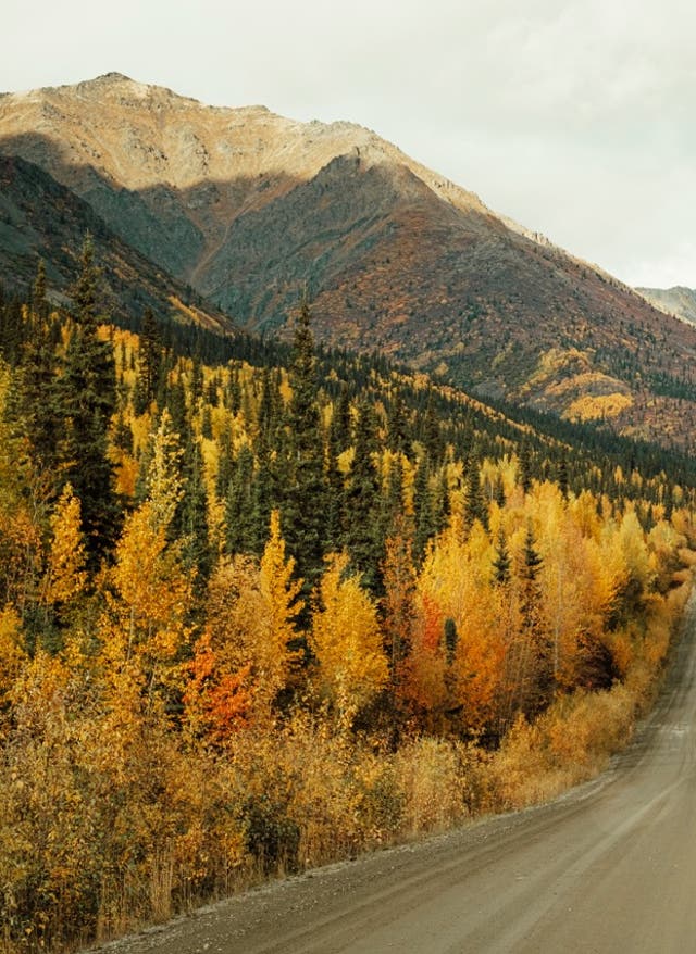 Kanada Urlaub Kanada: Straße durch die Weiten des Landes
