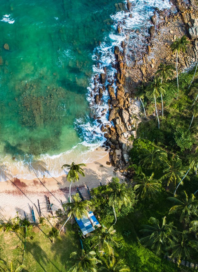Bali oder Sri Lanka