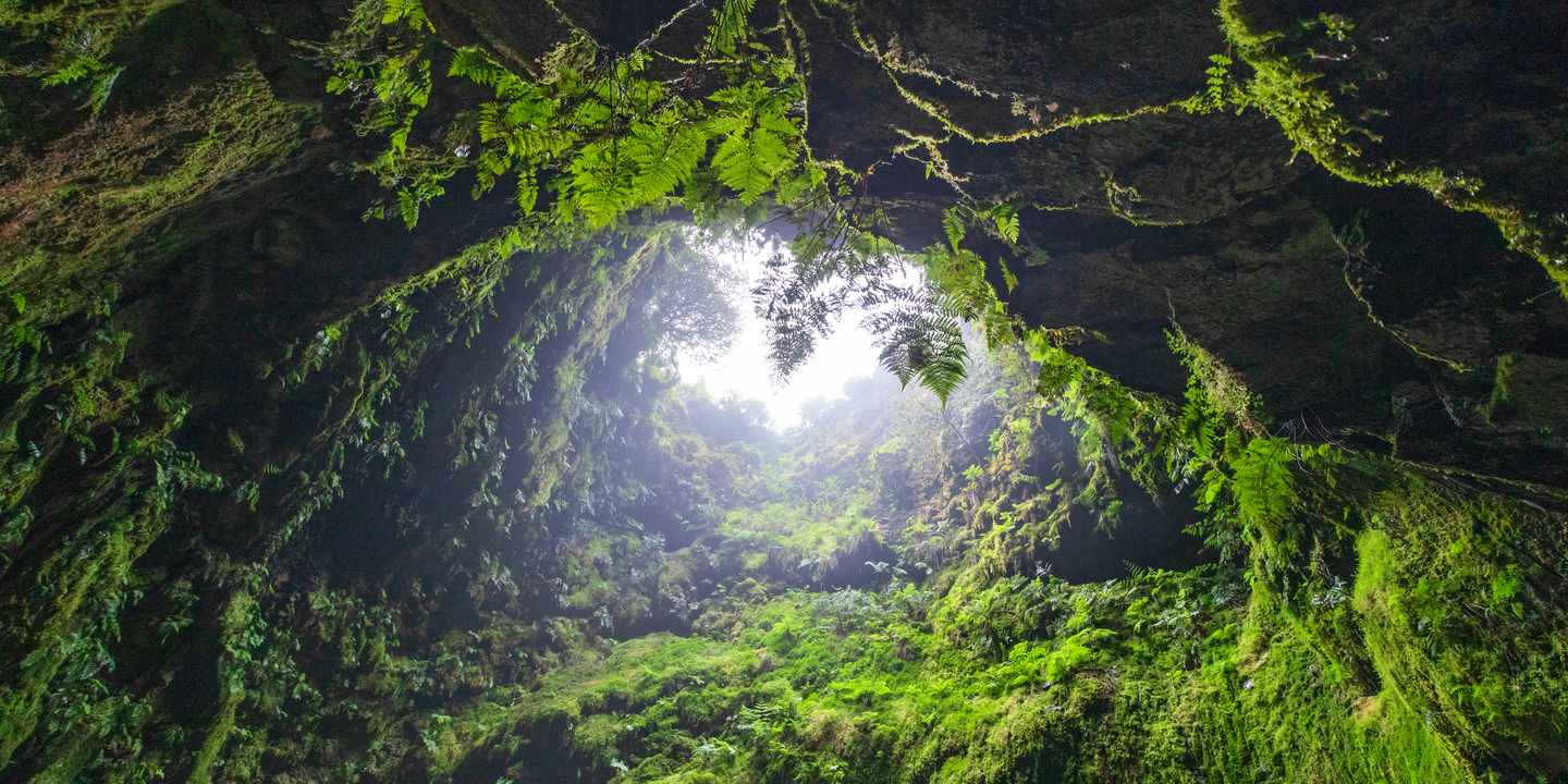 Algar do Carvão auf Terceira, vulkanische Höhle mit üppiger Vegetation und Lichtöffnung in Portugal