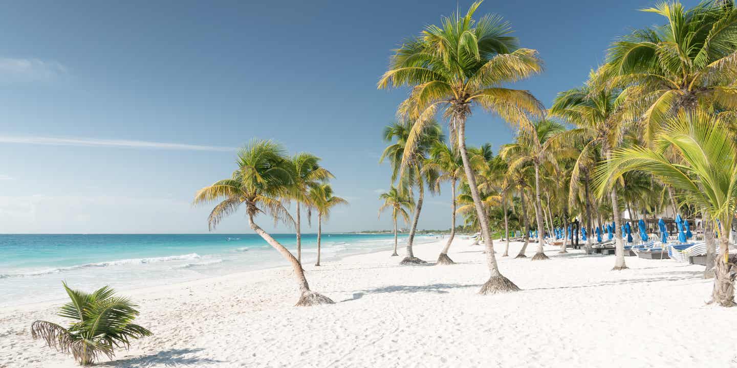 Urlaub in Mexiko – Traumstrand mit Palmen