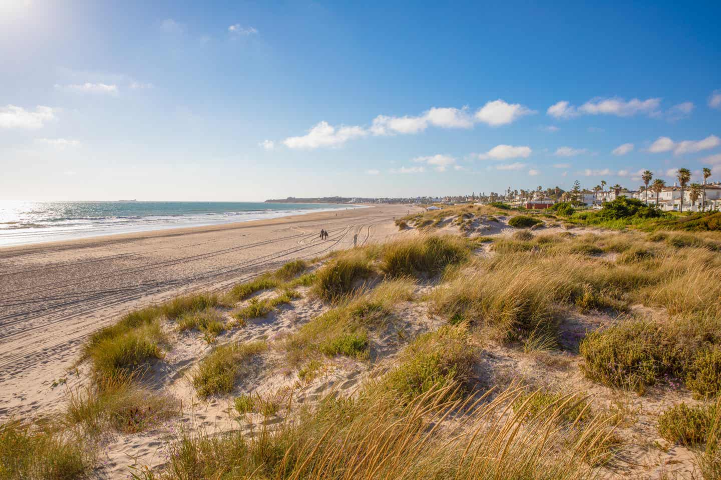 La Barrosa: Traumhafter Strand Spaniens in Andalusien