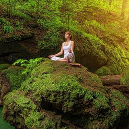 frau-yoga-wald-felsen-t-492398793.jpg