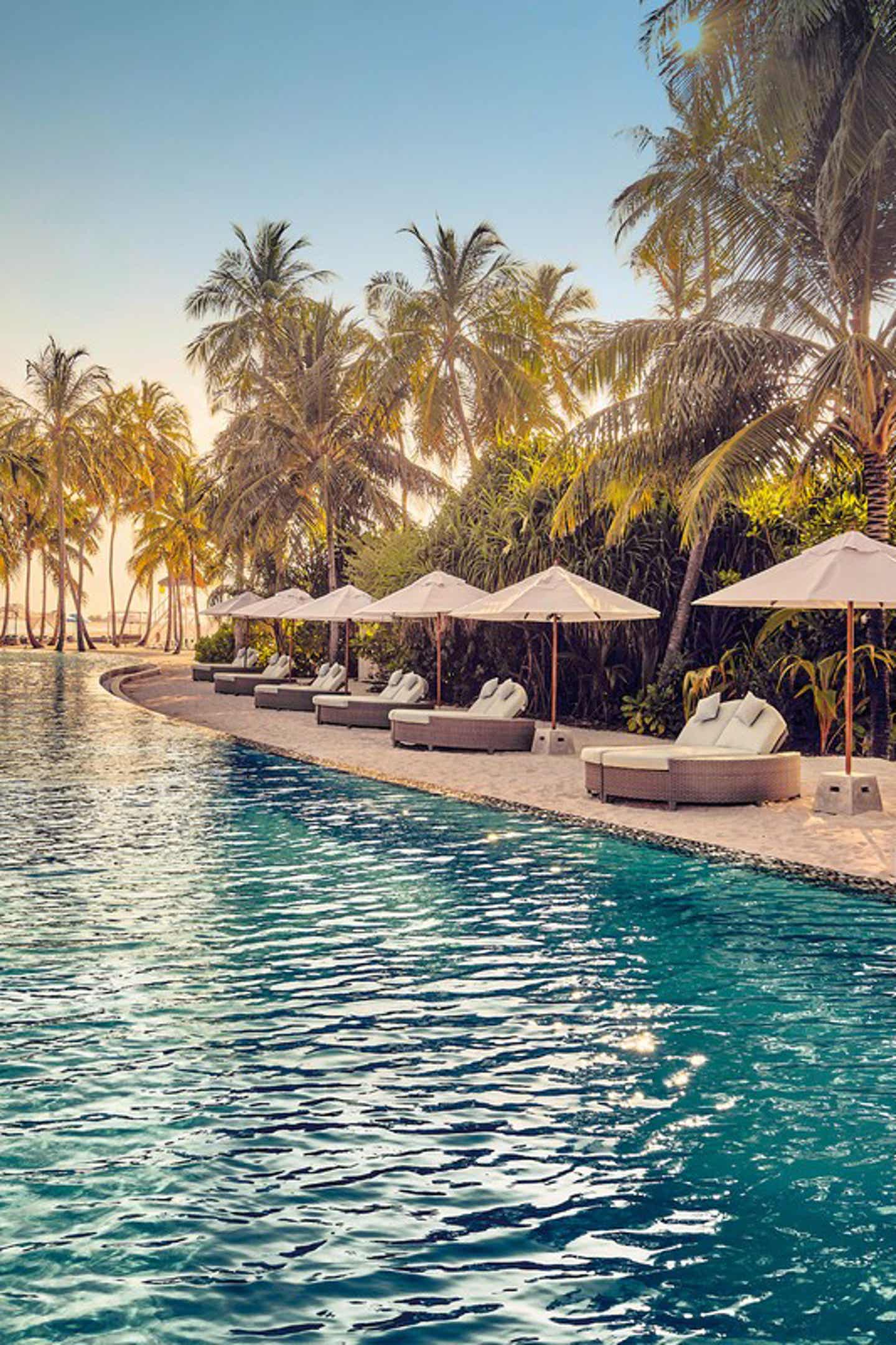 Aufnahme eines Infinity Pools einer palmenbewachsenen Hotelanlage 