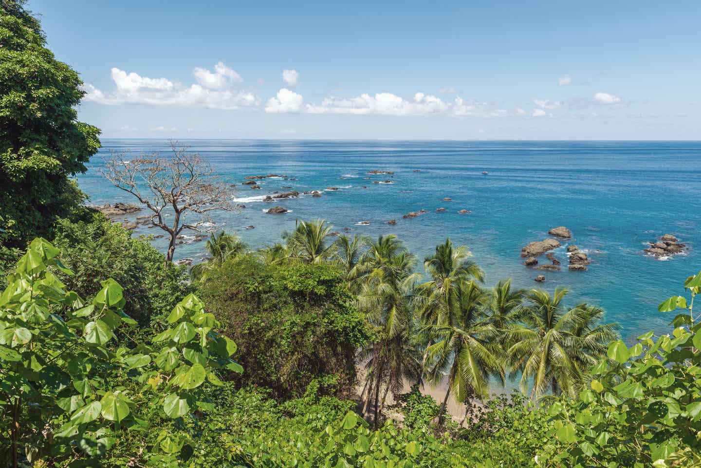 Costa Rica zur besten Reisezeit: der Corcovado-Nationalpark
