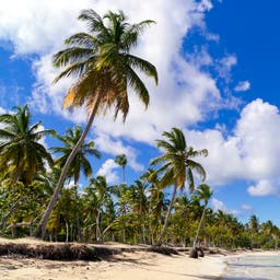 Pauschalreisen Samaná