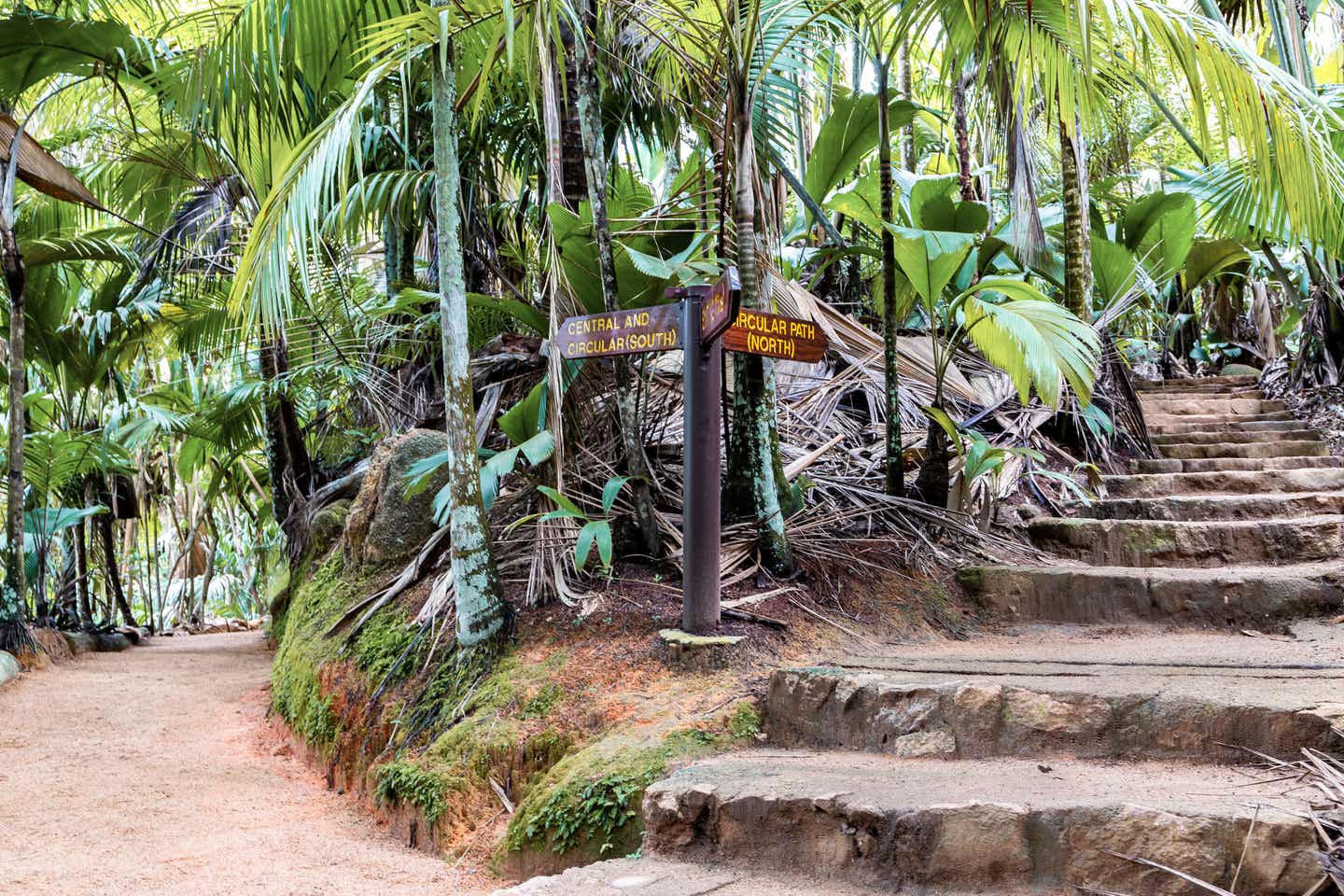 Steinstufen führen entlang des Wanderwegs durch das Vallée de Mai