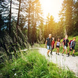 wald-familie-g-661996992.jpg