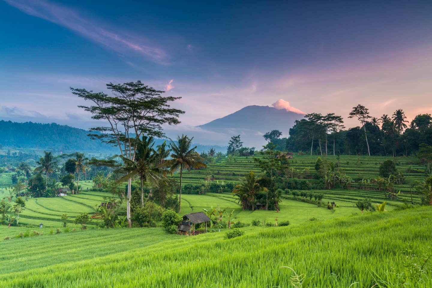 Rundreisen Bali: Reisfelder auf Bali mit dem Vulkan Agung im Hintergrund