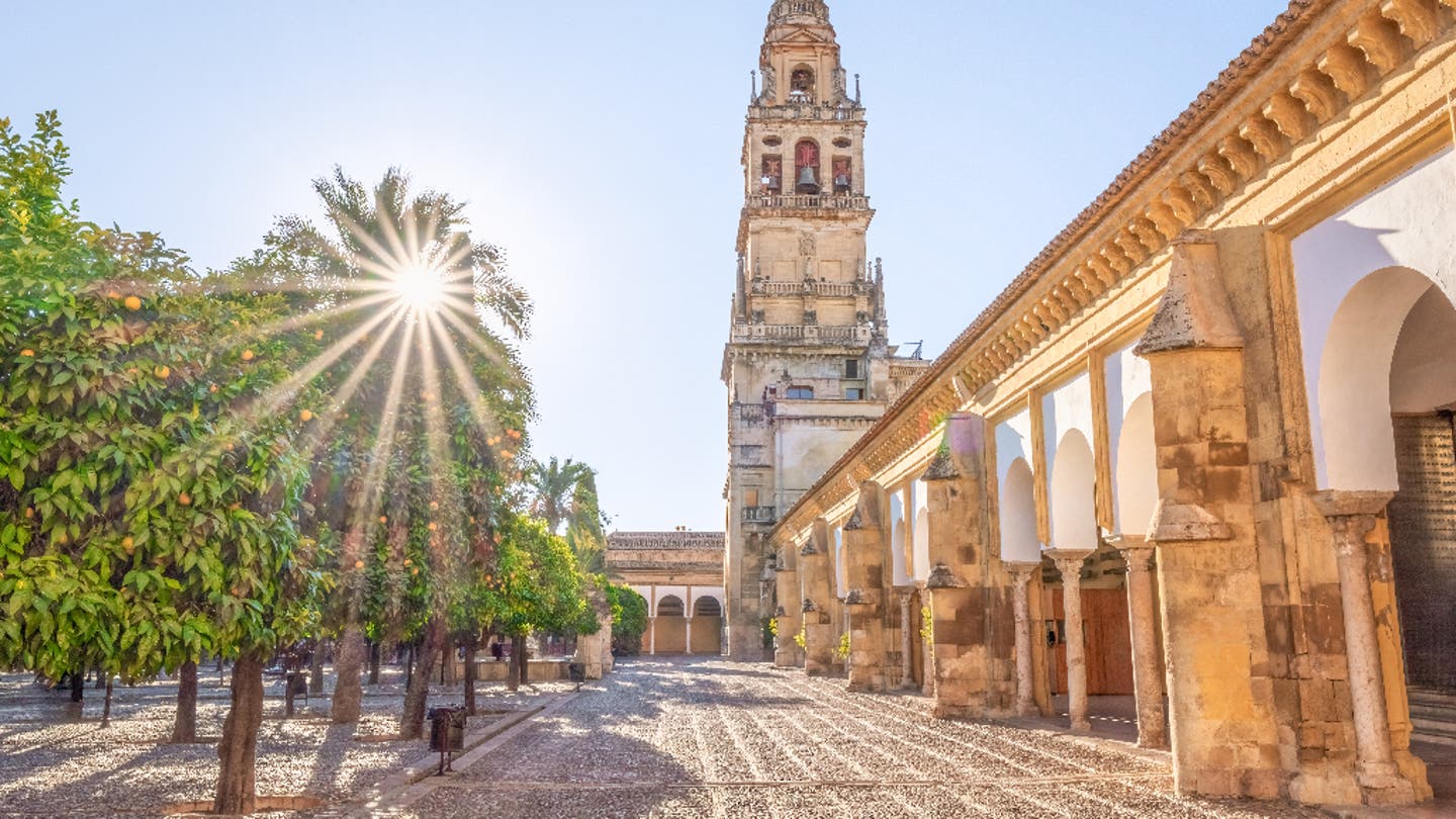 Glockenturm der Kathedrale in Córdoba mit Palmen im Orangenhof bei Sonnenschein in Andalusien