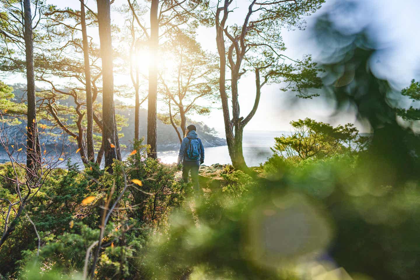 Skandinavien-Urlaub in Norwegen: Wandern in Wäldern direkt am Fjord