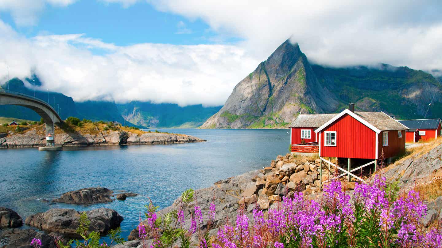 Trollfjord – Faszinierender Fjord auf den Lofoten, Norwegen: rote Häuser, violette Blumen, Brücke und steile Berge