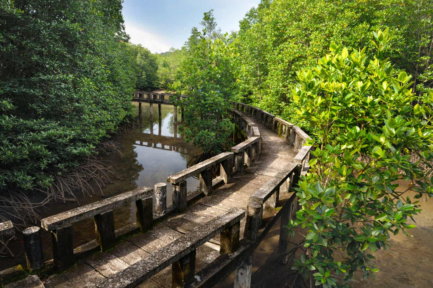 Die Elefanteninsel Koh Chang: Mangrovenwälder und Meer