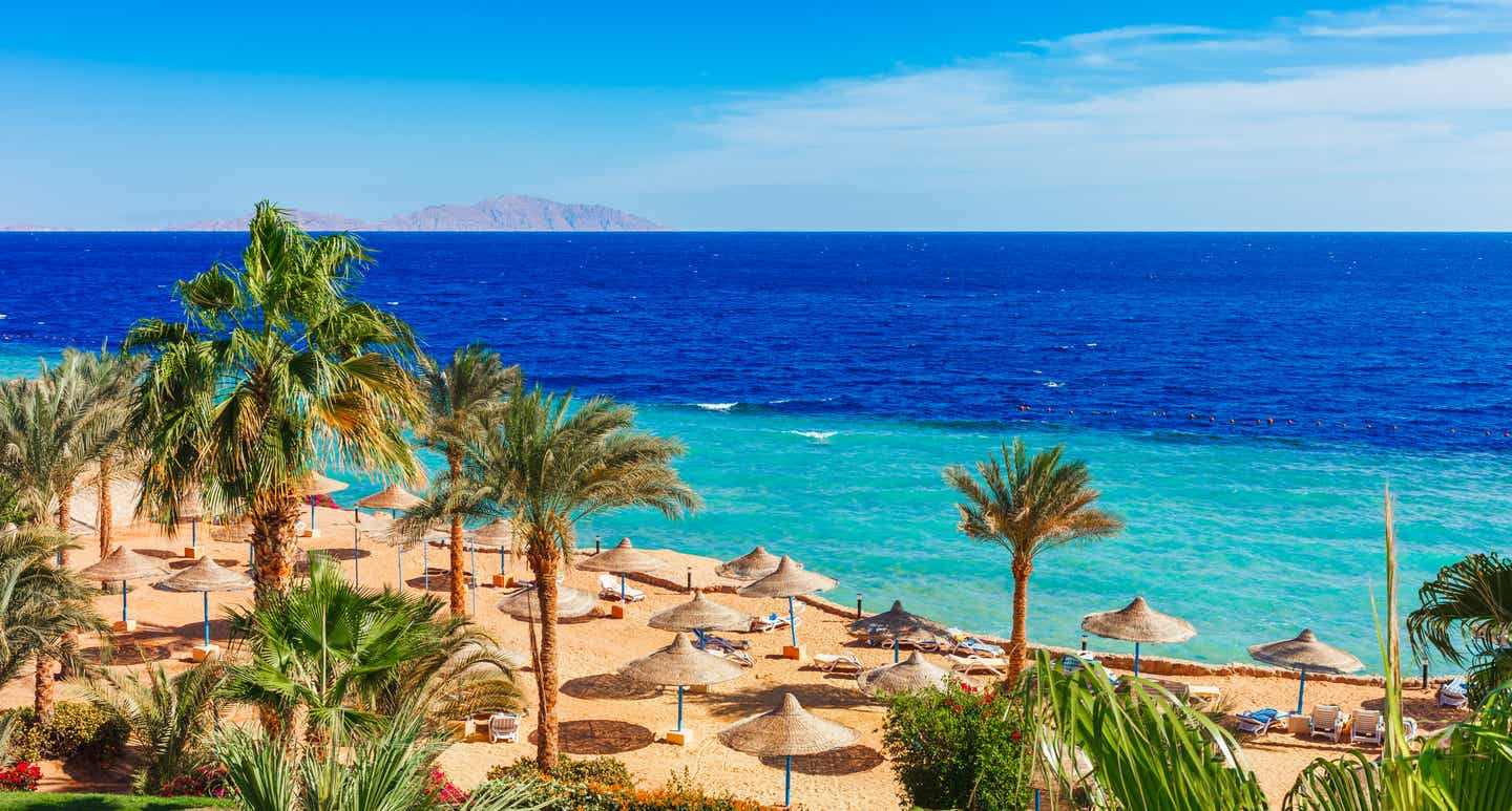 Reiseziele Oktober: Sharm-el-Sheikh und das Rote Meer