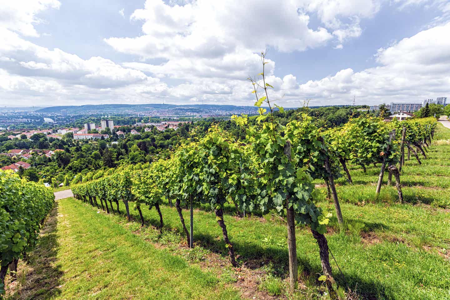 Stuttgart Städtereisen: Blick auf Weingut in Stuttgart