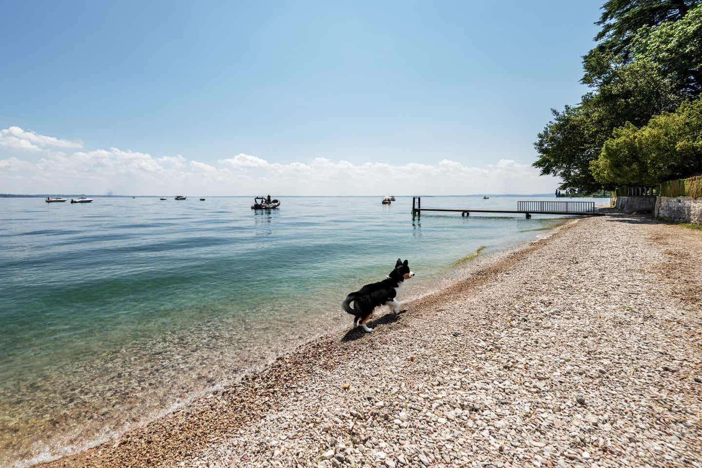 Urlaub mit Hund an der Küste des Gardasees - Garda Stadt, Italien 