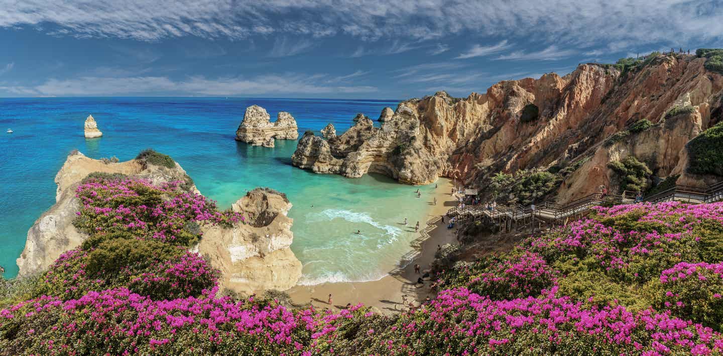 Portugal Urlaub mit DERTOUR. Der Strand von Praia do Camilo an der Algarve mit Felsen und bunten Blütenfeldern daneben