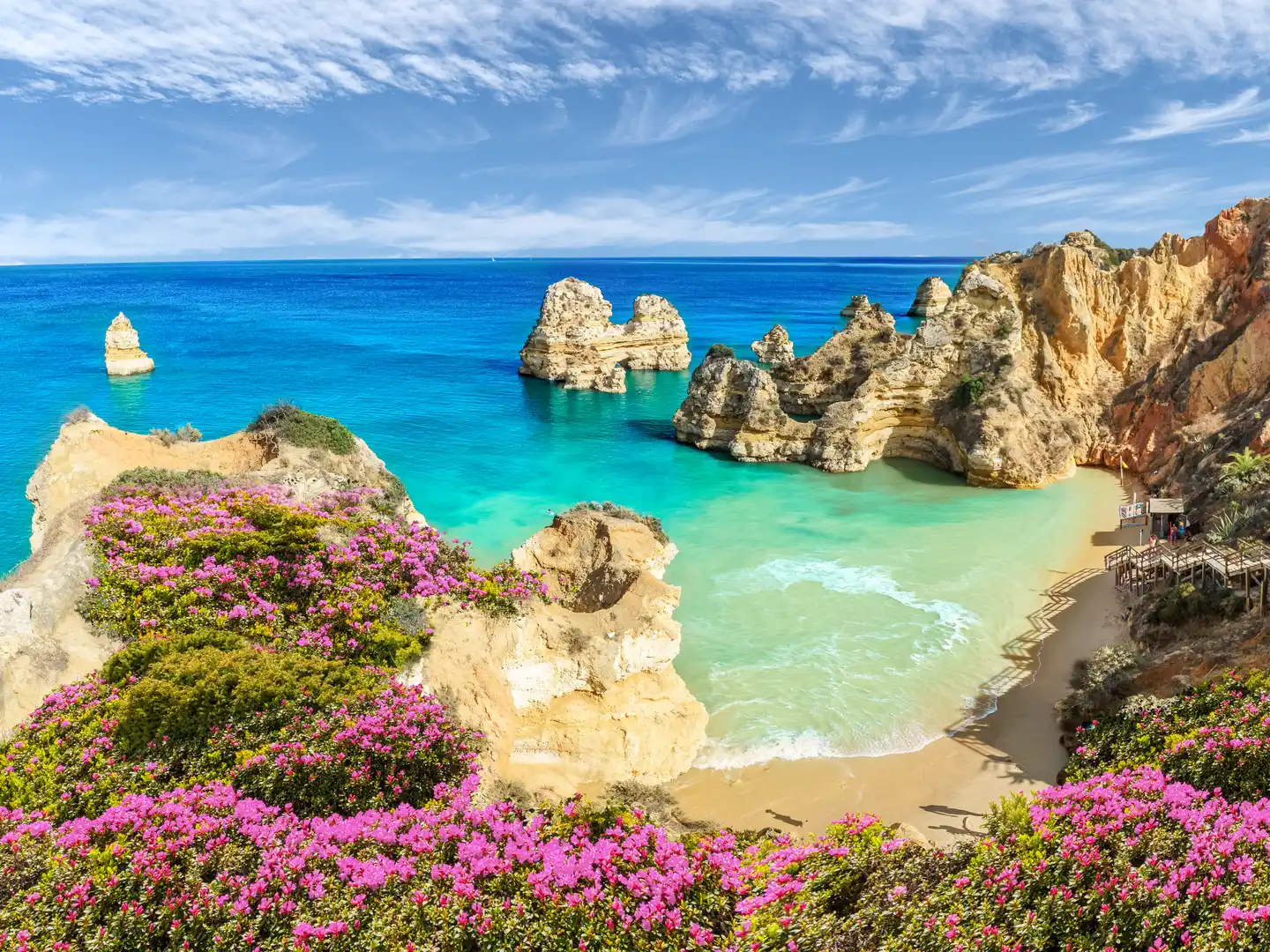 Portugal Urlaub mit DERTOUR. Der Strand von Praia do Camilo an der Algarve mit Felsen und bunten Blütenfeldern daneben