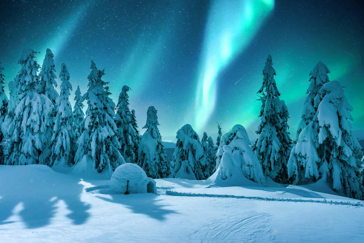 Aurora Borealis über einem verschneiten Winterwald in Finnland mit einem Iglu nahe dem Weihnachtsmanndorf Rovaniemi