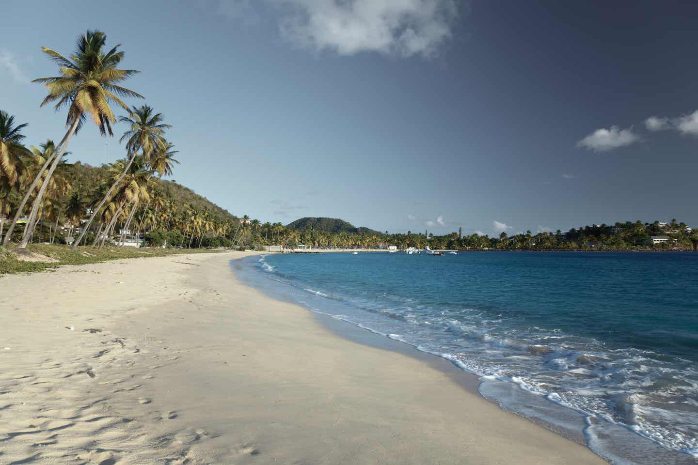 Antigua Urlaub mit DERTOUR. Der Strand Morris Bay auf Antigua