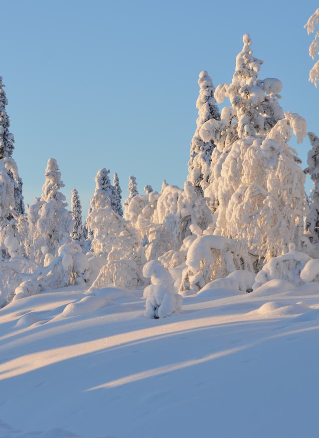 Zu den Angeboten Winterurlaub in den nordischen Ländern
