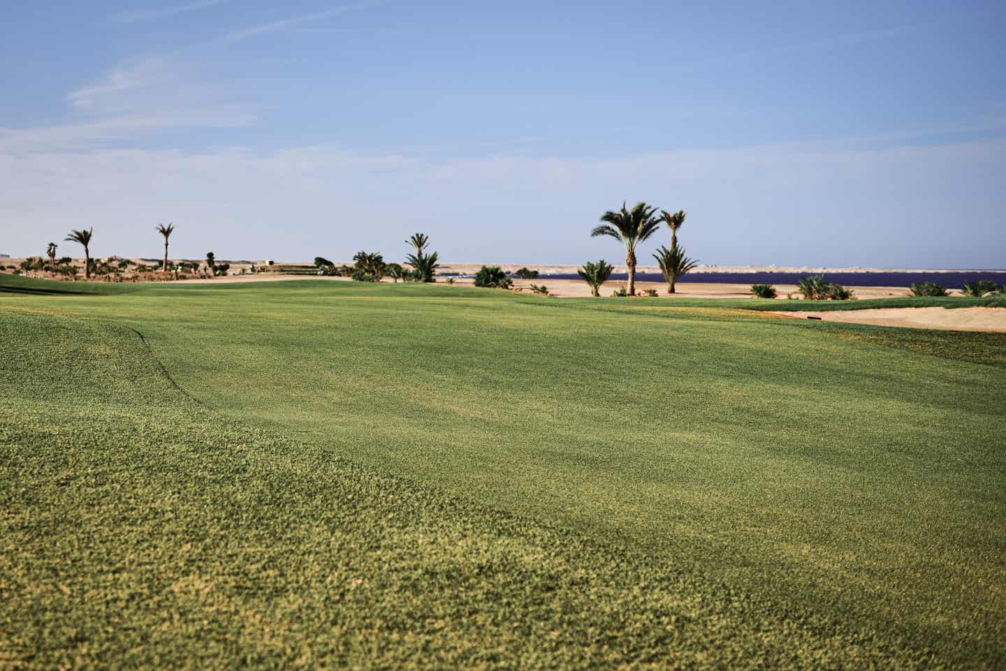 Golfplatz Hurghada: Abschlag zwischen Palmen und Meer