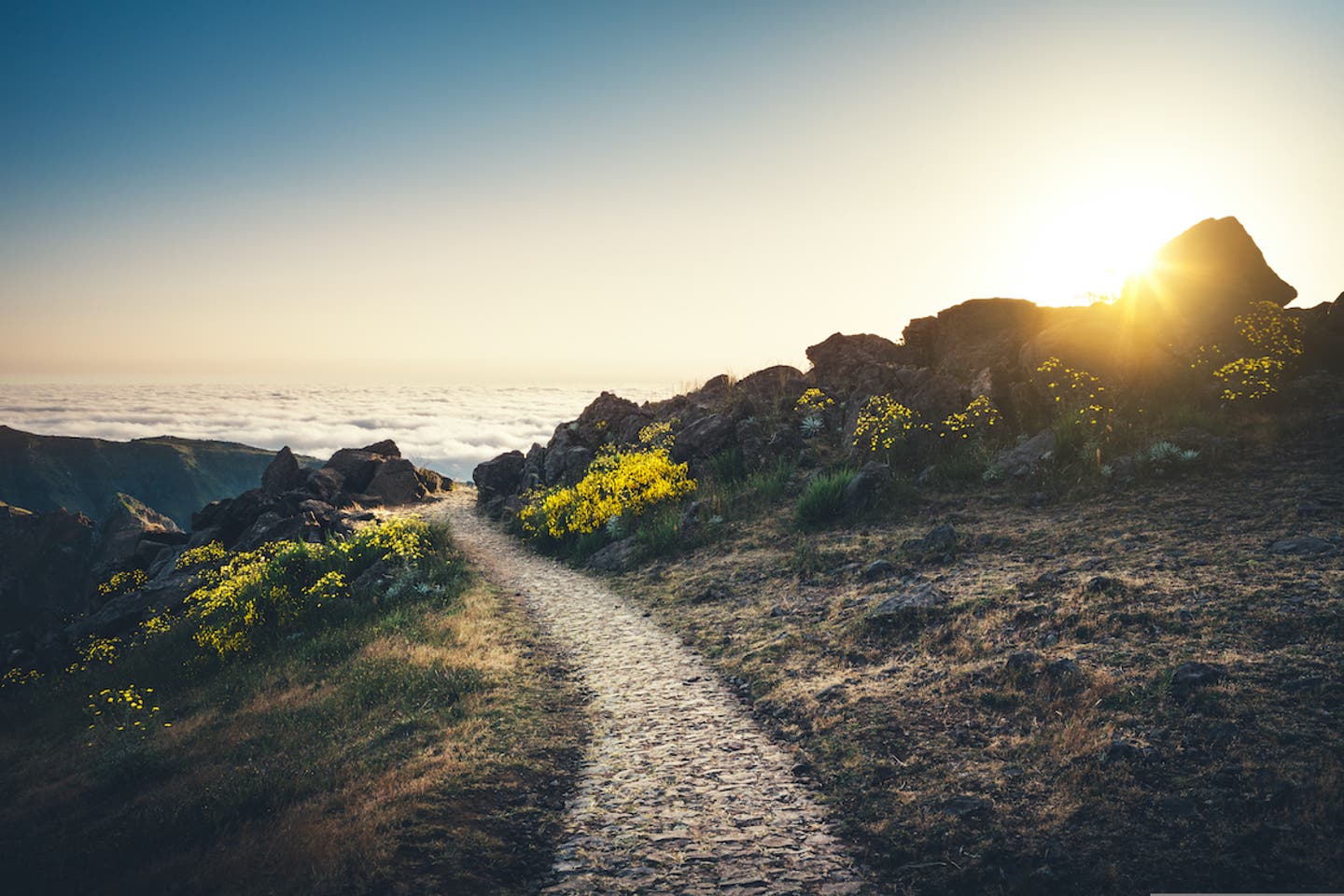 Mit uns entdecken Sie die Madeira-Highlights