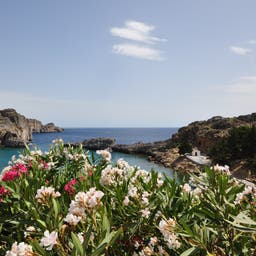 akropolis-lindos-blumen-g-1096156392.jpg